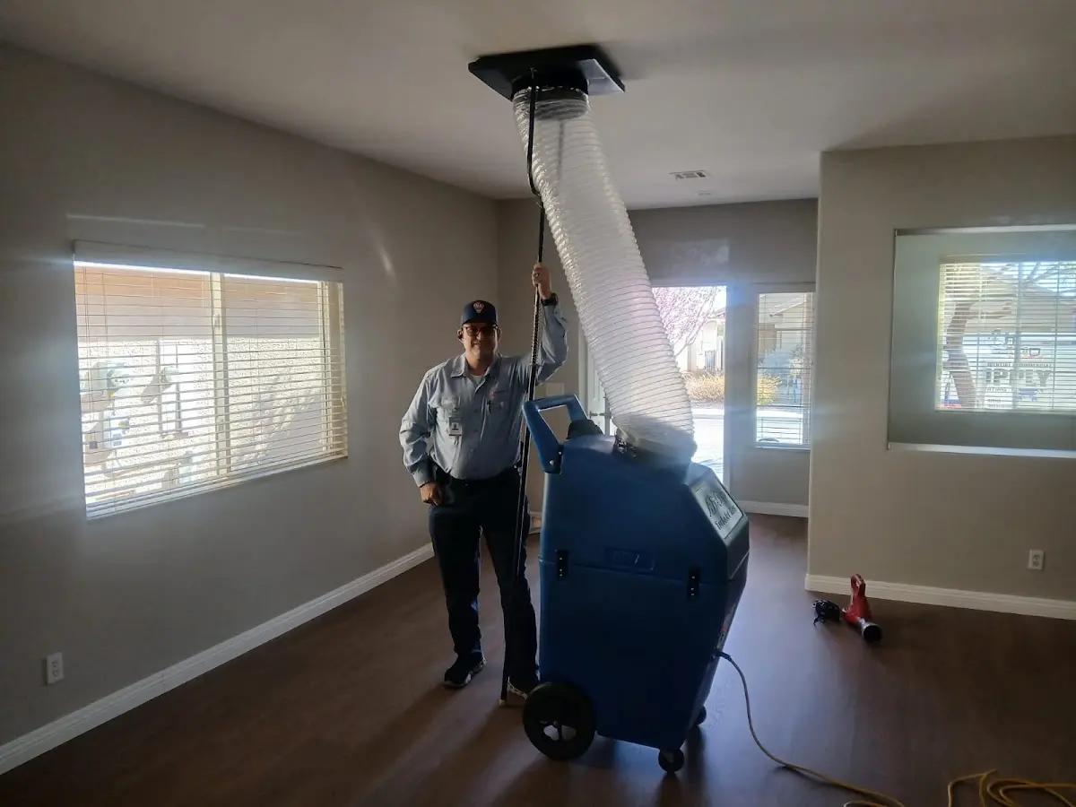 Professional Dryer Vent Cleaning work inside a Springfield home